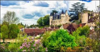 Où se situe ce village (Montrésor) situé en Indre-et-Loire ?