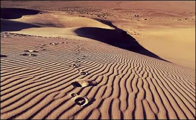 Sur quel continent se trouve le d&eacute;sert du N&eacute;guev qui fait fronti&egrave;re entre Isra&euml;l et la jordanie et Isra&euml;l et l'&Eacute;gypte ?