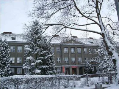 Que reprsente cette photo ?