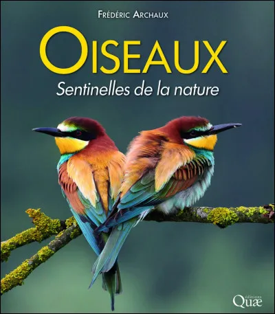 Sentinelles, veilleurs de nuit en Afrique :