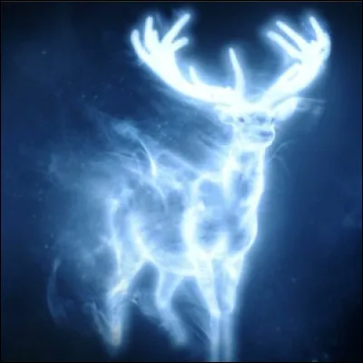 Quel serait ton animal totem ?