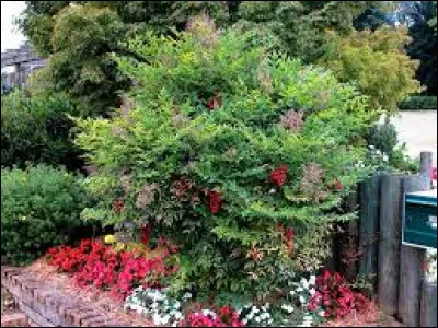 Pour commencer, ils sont :