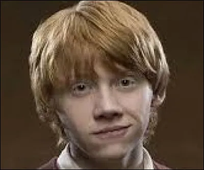 Quelle est la maison de Ronald Weasley ?