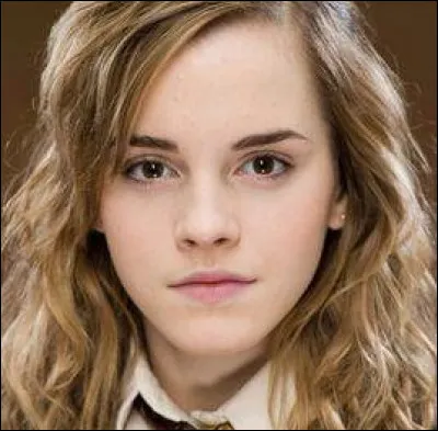 Quelle est la maison de Hermione Granger ?