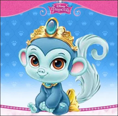 Ce petit singe m'a l'air bien coquin ! Mais qui abrite-t-il ?