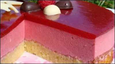Comment s'appelle ce gâteau ?