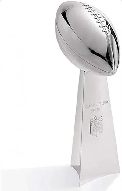 Pour quelle compétition est décerné ce trophée ?