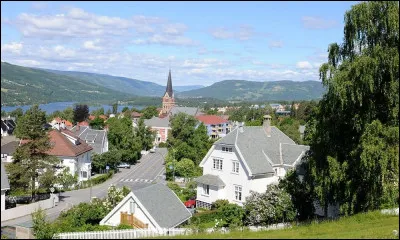Ville norvégienne de 28 000 habitants, située dans le centre du pays, à l'extrémité nord du lac Mjøsa, connue pour avoir accueilli les Jeux olympiques d'hiver de 1994 :