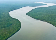 Quiz Un fleuve connu, l'Amazone