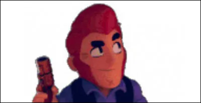 Quel est ce broleur ?