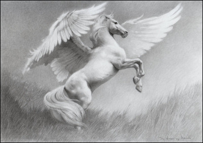 Ce bel animal mythologique est :