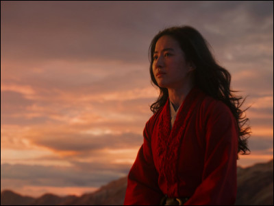 Comment se nomme cette princesse ?