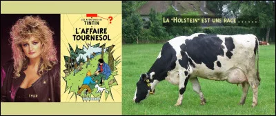 Là, il a fallu sortir les grands moyens et pas moins de trois images...