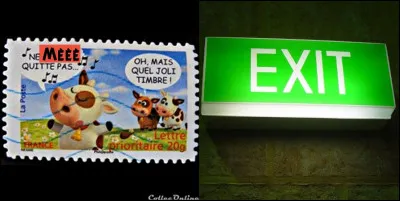 Courage, la sortie n'est pas loin...