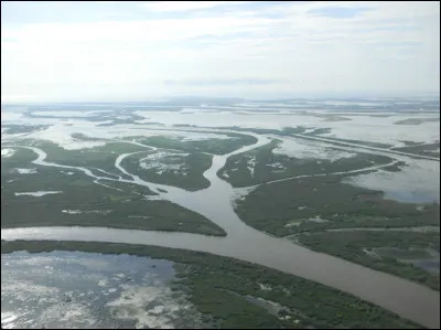 Dans quel Etat se trouve le delta du Mississippi ?
