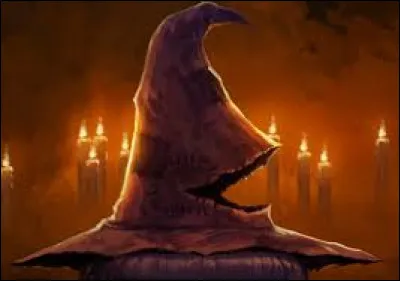 Pour finir, à quoi penses-tu appartenir ?