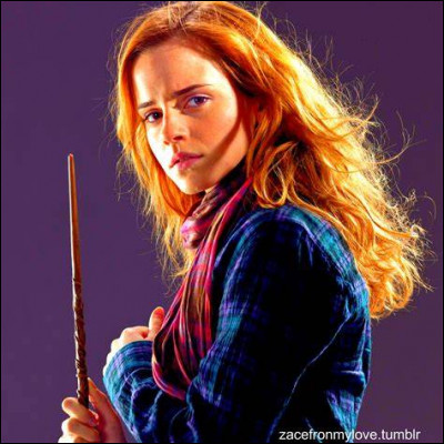 De quoi est faite sa baguette ?