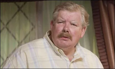 Quel est l'acteur de Vernon Dursley ?