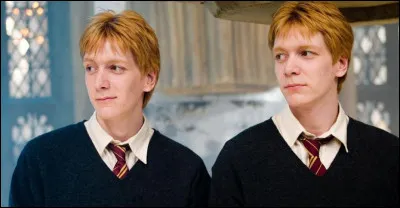 Quels sont les acteurs des frères Fred et George Weasley ?
