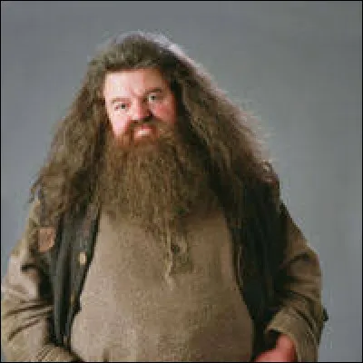 Qui est l'acteur de Rubeus Hagrid