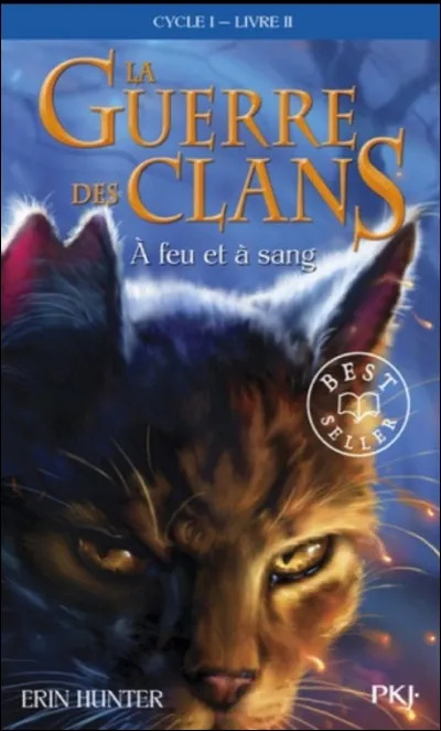 Ton chat aurait plutôt un caractère :