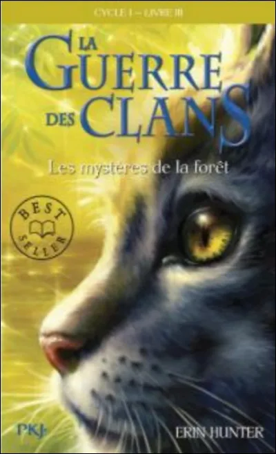Ton chat serait dans le clan :