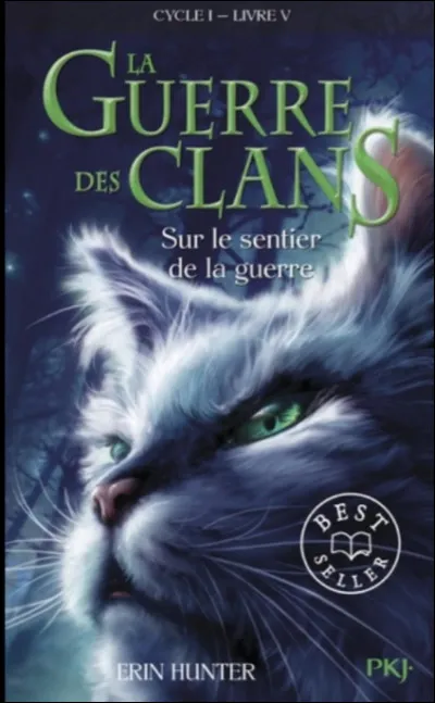 Ton chat serait plutôt :