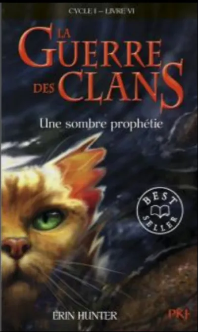 Ton chat serait plutôt :