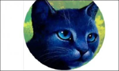 Comment la mère d'Étoile Bleue est-elle morte ?