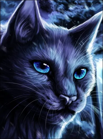 Comment Étoile Bleue est-elle morte ?