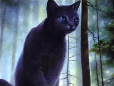 Comment sa sur, Pelage de Neige, fut-elle tuée ?