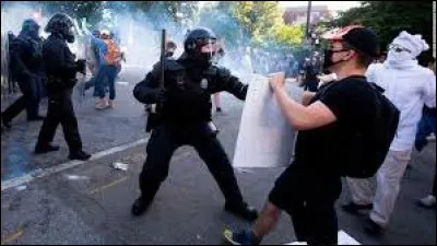 Quel est le sujet d'actualité majeur qui taraude les électeurs américains dans ces élections de 2020 ?