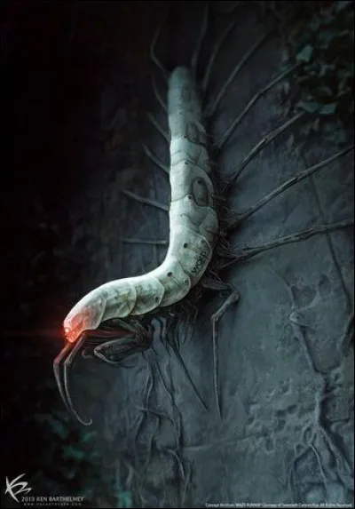 Pour espionner les blocards, le WICKED, utilise des scaralarmes.