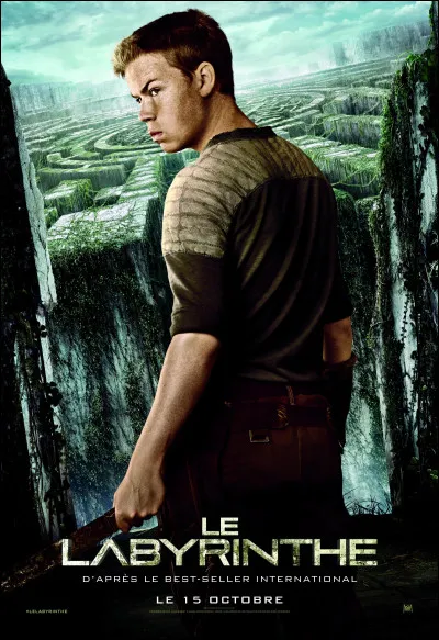 Thomas dort dans une petite maison avec Chuck et Gally.