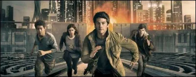 Le matin par petits groupes les coureurs vont chacun dans le Labyrinthe par l'une des 4 portes.