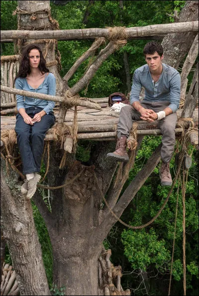 Quand Teresa sort du coma elle est en haut d'une grande échelle (tour en bois) et elle jette des cailloux sur les blocards.