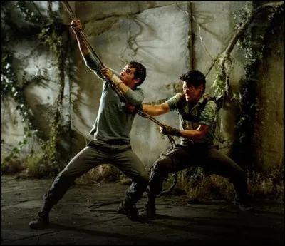 Thomas hisse Alby tout seul en haut du lierre du labyrinthe pour le sauver des Griffeurs.