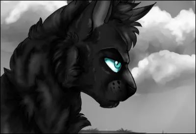 Tu te promènes et tu tombes face à un blaireau.