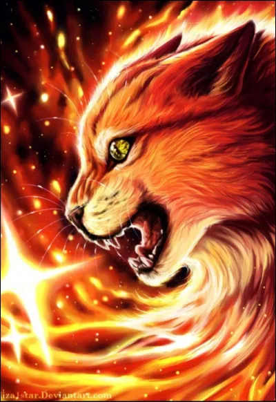 La guérisseuse vient de mourir et comme tu étais une de ses grandes amies tu deviens guérisseuse à ton tour.