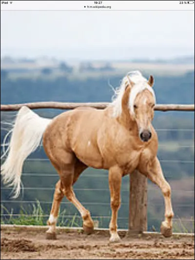 Quel animal est-ce ?