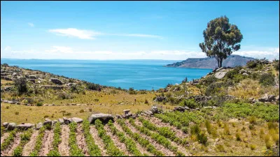 Selon la classification de Köppen-Geiger, quel est le climat du lac Titicaca ?