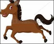 A partir de quand le poulain peut-il galoper ?