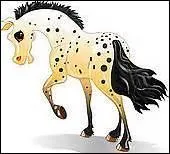 Vers quel ge commence-t-on le dbourrage du poulain ?