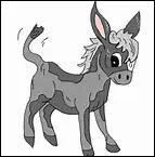 Quel est le meilleur ami du cheval ?