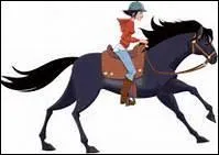 Pourquoi faire tourner un cheval en longe dans les 2 sens ?