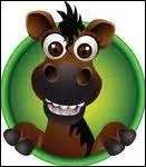 Pourquoi certains chevaux sont-ils tondus ?