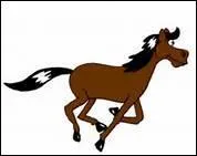 Quelle prcaution faut-il alors prendre ?