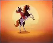 A partir de quelle taille un poney devient-il un cheval ?