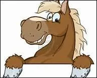 Quel est le record de taille pour un cheval ?