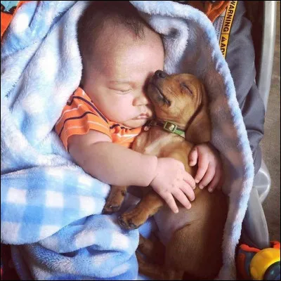 Qui peut-on adopter ?